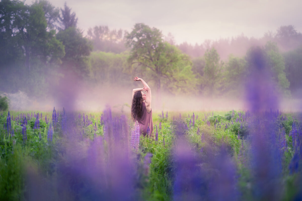 Among the Lupines