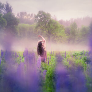 Among the Lupines